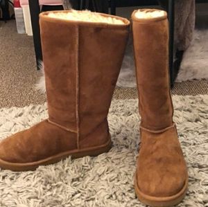 Classic Ugg Tall Chesnut 7